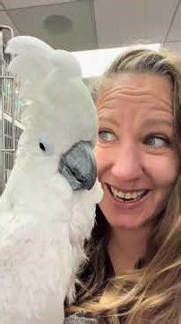 This was the seagull scream he used to do in the car🫣 love and miss you all 💙