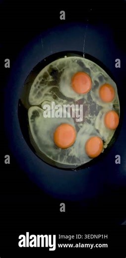 Footage of Fried eggs in induction pan.home cooking prepare for breakfast.good food Stock Video Footage - Alamy