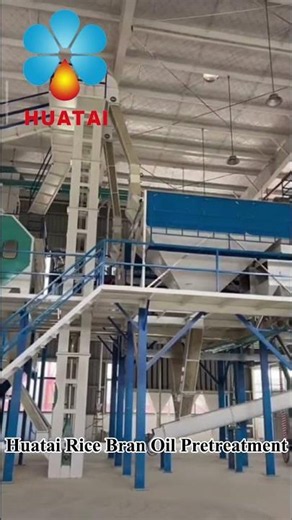 Rice Bran Oil Pretreatment – Puffing & Drying Process | Huatai Workshop Tour