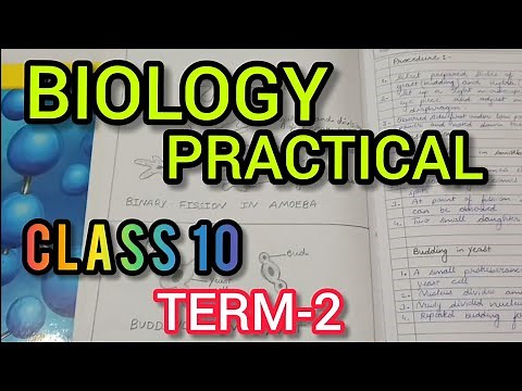 BIOLOGY PRACTICAL CLASS 10 |Term-2 | (2021-22) #practical #class10 #cbse #biologypractical #shreya