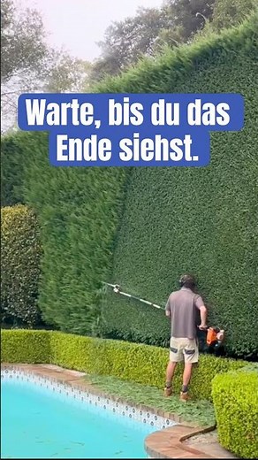Die ganze Hecke in einem Rutsch. #thuja #garden #lawncare
