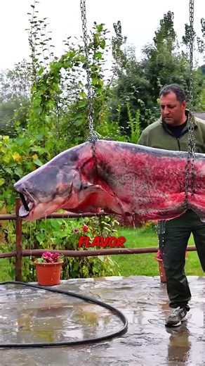 Why He Hosed Down His Dinner 💦🐟 #shorts