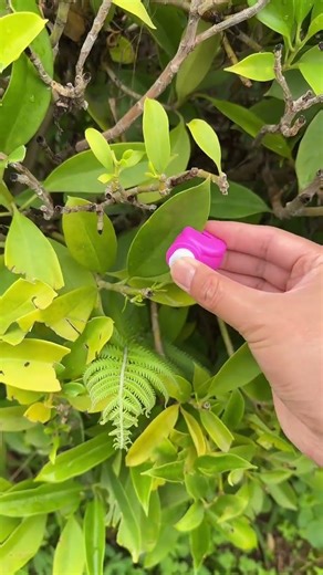 small, portable paper embossing device used for crafting, featuring a manual puncher mechanism.