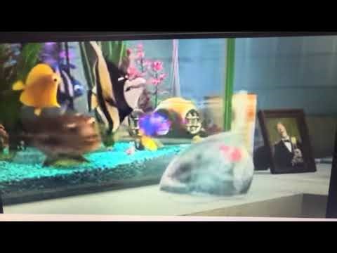 Finding Nemo (2003) gurgle - part 16