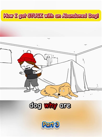 How I Rescued an Abandoned Dog: Part 3