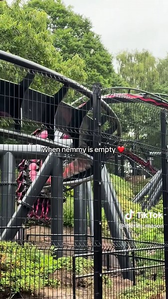 mason (@mason.coaster)’s videos with Swimming Pools (Drank) - Extended Version - Kendrick Lamar