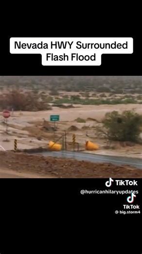 Reno Nevada flooded down U.S.A Parkway today.This looks like the Vegas area that also had flooding I was on a flash flood watch and lost power for a little over a hour. | John Bark