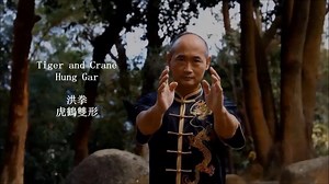 17K views · 899 reactions | Master Pun Leung Cheung demonstrates the Tiger and Crane arts of Hung Gar Kung Fu! https://kungfukingdom.com/?s=hung+gar&post_type=post | Kung-fu Kingdom | Facebook