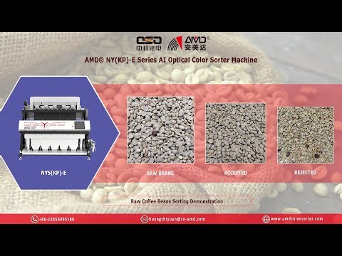 AMD® NY-E Series AI Optical Grain/Seeds/Pulses Color Sorter Machine for Raw Coffee Beans Sorting