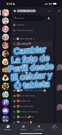 How to Change Your Profile Picture on a Cell Phone or Tablet in 2024 on Discord ✨ NaLexnu