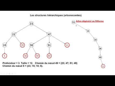 Algorithmique et Structures de Données Avancées : les arbres (arbres n-aires).