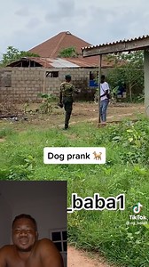 1.9M views · 91K reactions | Dog prank | Untouchable Comedies | Facebook
