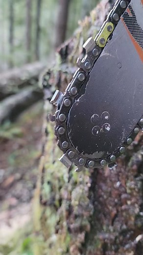 9.4K views · 926 reactions | Here's how well the .325 .050 chain has...