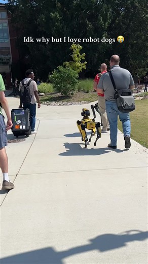 They’re so cute 😭