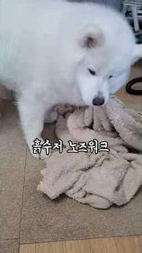 흙수저 노즈워크