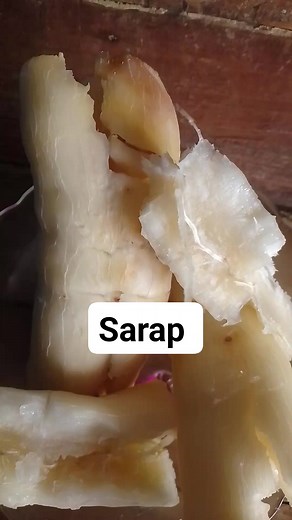 Judy Arrisgado on Reels