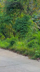 1.3K views · 85 reactions | Flexing my GF﫶 | Jorge Lopez Onga | Facebook