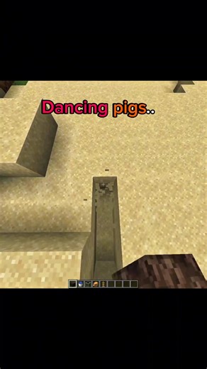 Dancing pigs #minecraft
