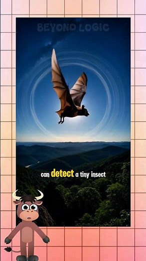 Bats Have Built-In SONAR More Advanced Than Radar! #facts #shorts