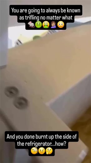 How to Identify Rodents and Roaches in Your Home