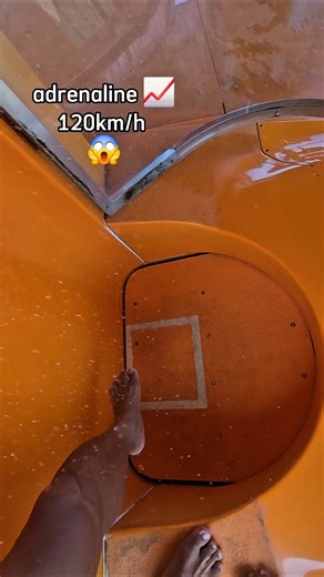 Would YOU do this? YES or NO? 😱