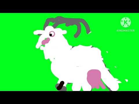 Screaming goat green screen