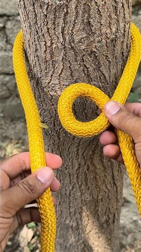 World Famous Loop Knot !