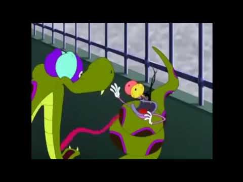 Joey Meets the Boa for 10 Hours