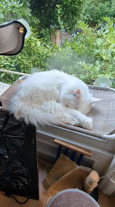 134K views · 10K reactions | Small Sigrid update.  | Travis and Sigrid | Facebook