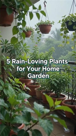 5 Best Rainy Season Flower Plants Under ₹100 🌧️🌸 | Budget Gardening Ideas