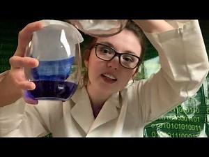 True Disciples Object Lesson