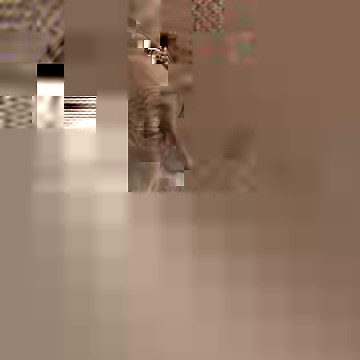 15K views · 1.3K reactions | Dolph Lundgren: Transitioning from chemical engineering to acting | Graham Bensinger | Facebook