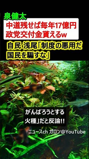 泉健太「中道残せば毎年17億円も政党交付金もらえるw」→浅尾議員「制度の悪用やめろ」