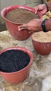 neutral planting media mix