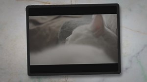 How to Stop Sleep Number Mattress from Sliding: Your Ultimate Guide