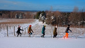 C'mon up and experience the Traverse City area during the most wonderful time of the year! ❄️⛷️🎿🍷🌟 | Traverse City Tourism