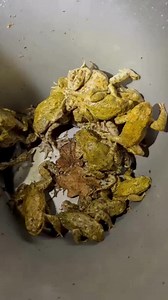 3.7K views · 60 reactions |  Sound on for chirping toads    Watch out for toads crossing roads on mild, damp nights. These were being carefully helped across a road as they returned to ponds to breed.  Why not look for a local toad patrol to join and help keep toads safe this breeding season. #teamWILDER  Lou Reeve | Berks, Bucks and Oxon Wildlife Trust - BBOWT | Facebook