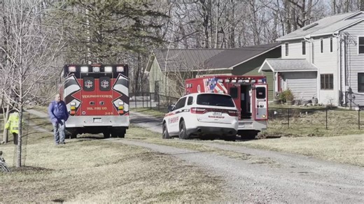 Falling tree kills man in town of Porter