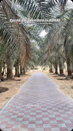 Save this spot now The farm offers a variety of locally grown fruits and vegetables, including tomatoes, cucumbers, eggplants, figs, and more. They also produce raw honey, contributing to the UAE’s goals of food security and sustainability . Visitors can enjoy farm tours that include animal feeding, petting, and fruit and vegetable picking. The farm is open seven days a week from 8:00 AM to 9:00 PM,with a break during Friday prayers from 12:00 PM to 2:00 PM. AED20 (for kids below 8years old ) Ad
