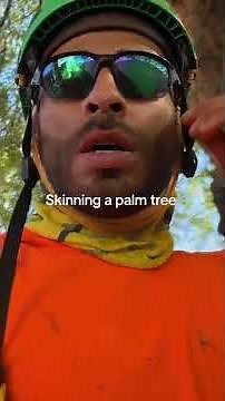 The #1 way to skin a palm tree 🌴 #shorts