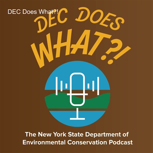 New York State is rich in minerals, including sand, gravel, bluestone, zinc, and salt, which are mined for industrial and construction uses and the U.S. Geological Survey estimates the annual value of New York's mineral production at $1.84 billion. In the newest episode of the "DEC Does What?!" Podcast, we are joined by Psalm Wyckoff, Section Chief for the Mined Land Reclamation Program, and Jami June, Mined Land Reclamation Specialist—staff with DEC’s Division of Mineral Resources—to discuss th