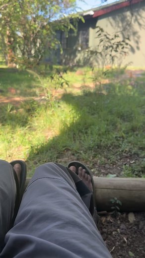 11 reactions | common dwarf mongoose | Saeed Ranger | Facebook