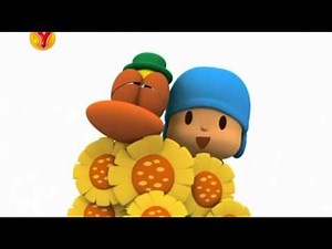 Pocoyo Turkish Bahce