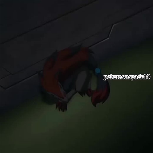 Pokémon Forever: A Tribute to Zoroark and Zorua