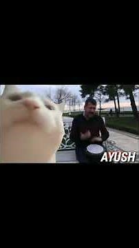 Viral Turkish Guy Bilal Göregen Cat Vibing Meme song| Turkish blind singer becomes viral