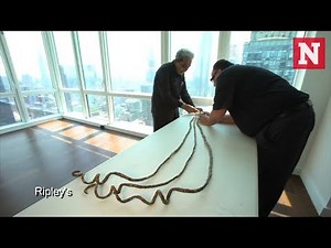 Man With World's Longest Fingernails Cuts Them Off After 66 Years