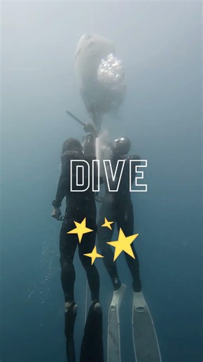 No Limit Freediving is now part of VD Freediving Master program #freediver