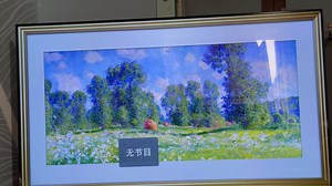 lg c1 48寸