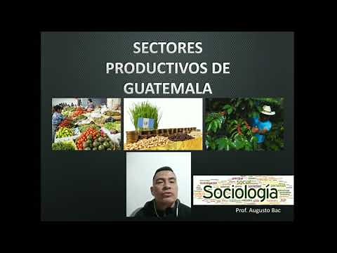 Sectores Productivos de Guatemala