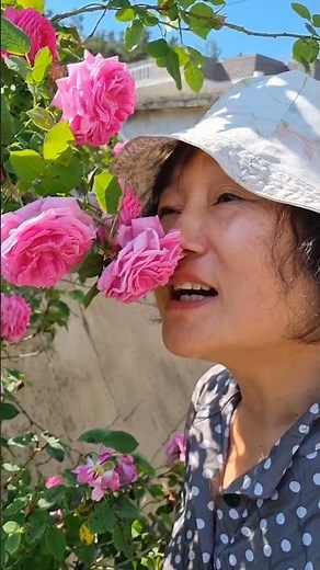한옥 미닫이문 창호지 레일 교체 #시골집리모델링 #여자노가다 #구미아인